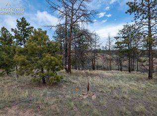 144 Chapparal Trl, Florissant, CO 80816