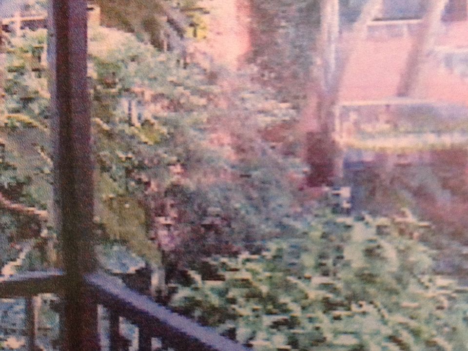 2nd image of 610 Tennis Club Dr APT 206