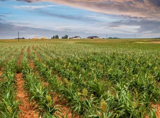 5982 Tiger Rd, Ropesville, TX 79358