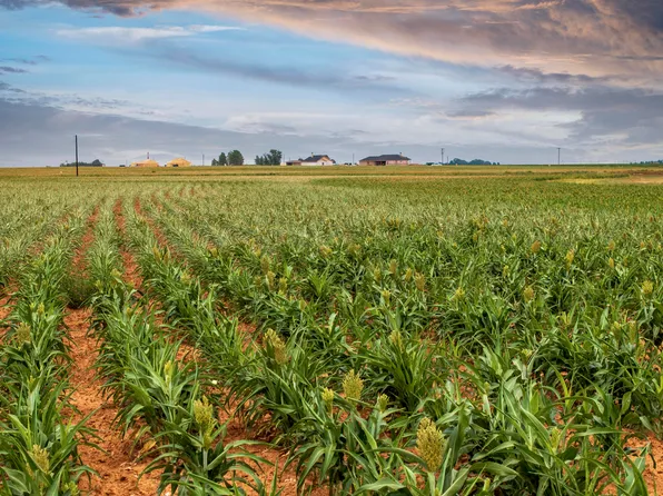 5982 Tiger Rd, Ropesville, TX 79358