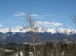 41 Rock Cir, Leadville, CO 80461