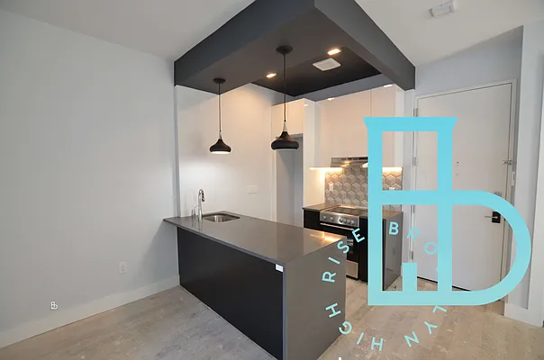Rented by Brooklyn High Rise LLC | media 10