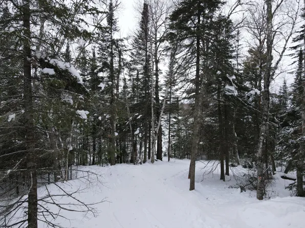 S Pickerel Rd, Effie, MN 56639