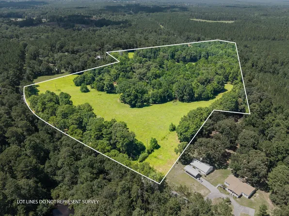 000 Tom Stockman Rd., Moselle, MS 39459
