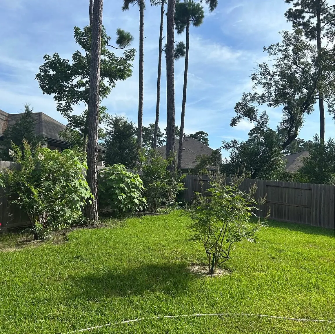 3 bed, 1956 sqft, $2,550 — Photo 4