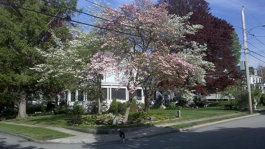 46 Hollis Ave, Braintree, MA 02184 Zillow