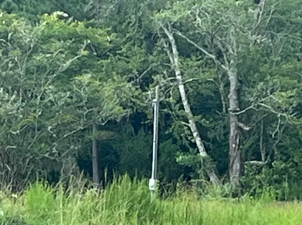 647 Gibson Cir, Hortense, GA 31543