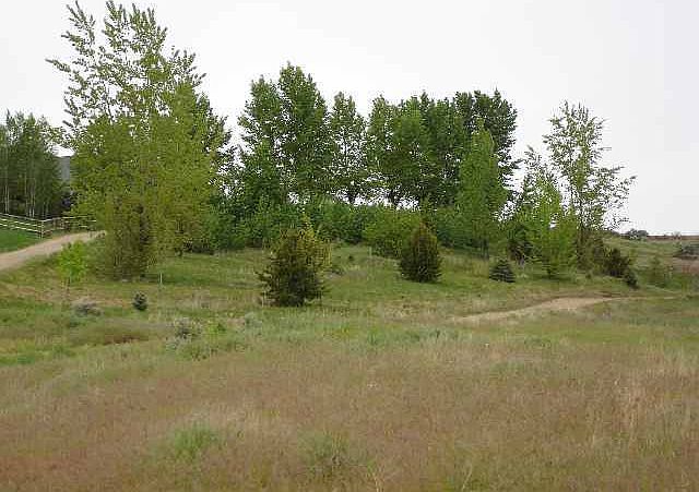 2nd image of Tbd Lanktree Ln