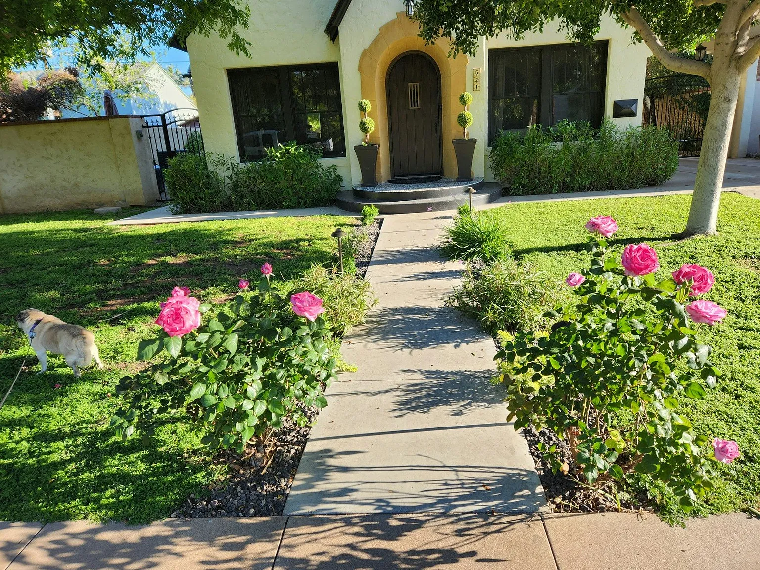 521 W Cypress St — Photo 2