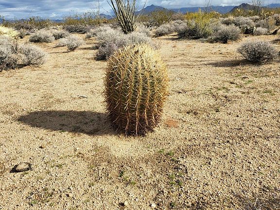 4th image of 2831 S Billy The Kid Rd