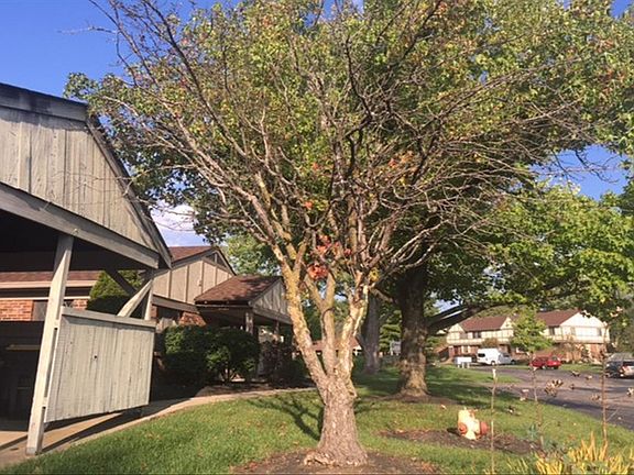 3rd image of 468 Attleboro Ct