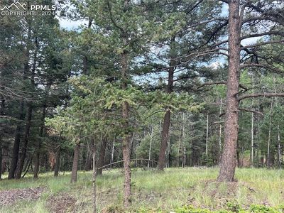 270 Southpark Rd, Florissant, CO, 80816
