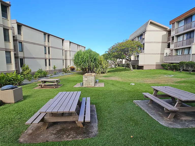 Picnic Tables, Walking Areas