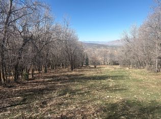 1040 S Pineview Dr, Woodland Hills, UT 84653