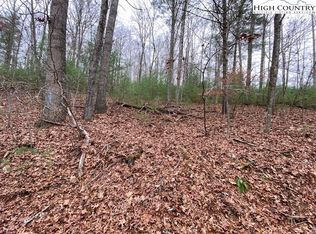 Tbd Island Ford Rd, Jefferson, NC 28640