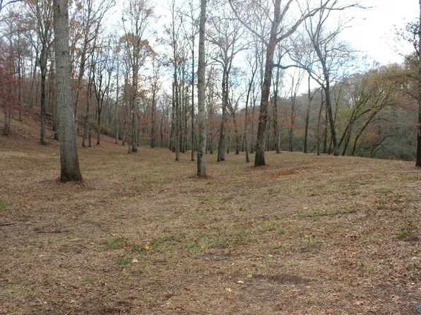 5.71 State Highway 75, Geraldine, AL 35974