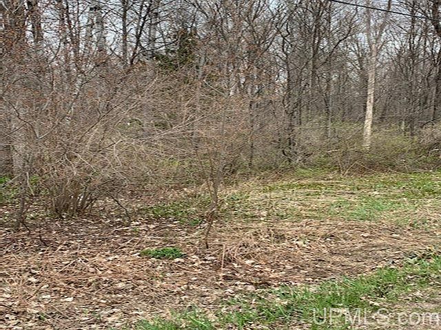 2nd image of Reiman Rd