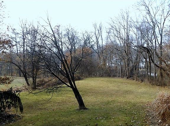 This large and flat expanse of lawn receives plenty of sunlight, and would be the perfect spot for a vegetable garden.