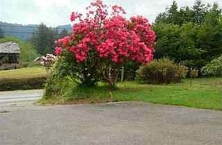 2nd image of 1450 Elk Valley Rd