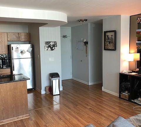 4th image of 1255 N Sandburg Ter Unit 1704