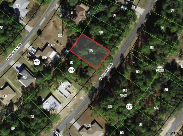 8056 N Pocono Dr, Citrus Springs, FL 34434
