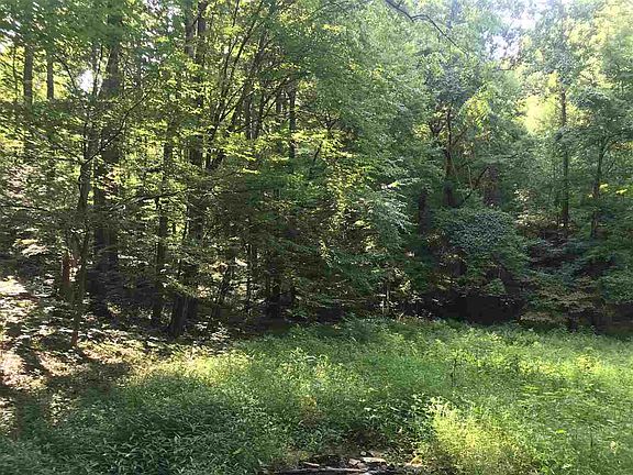 3rd image of 5281 Rockfish Valley Hwy #4
