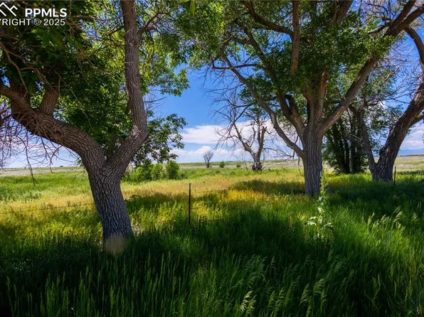 23655 E Garrett Rd, Calhan, CO 80808