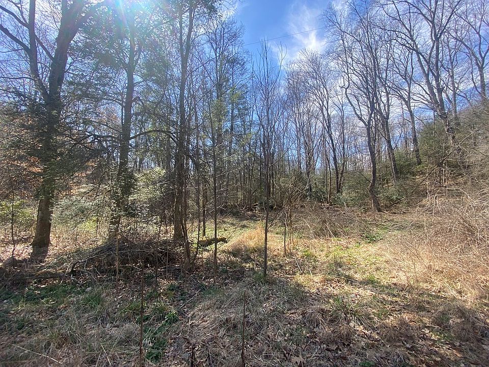 2nd image of 663 Saxon Rd