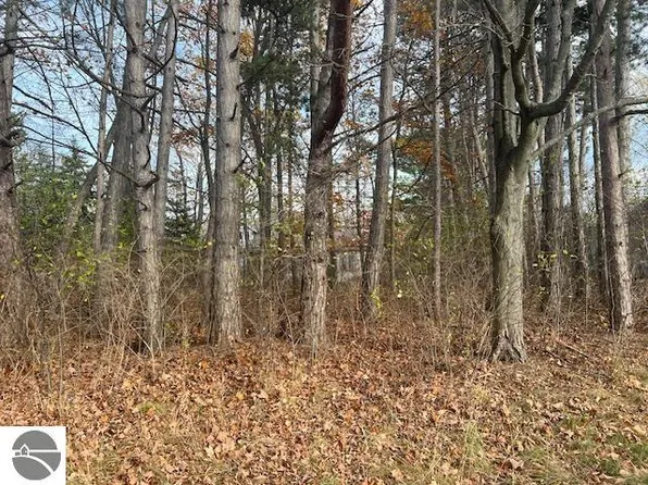 19 S Chandler St, Leland, MI 49654
