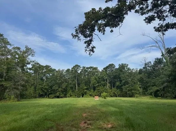 18163 Balfantz Rd, Springfield, LA 70462