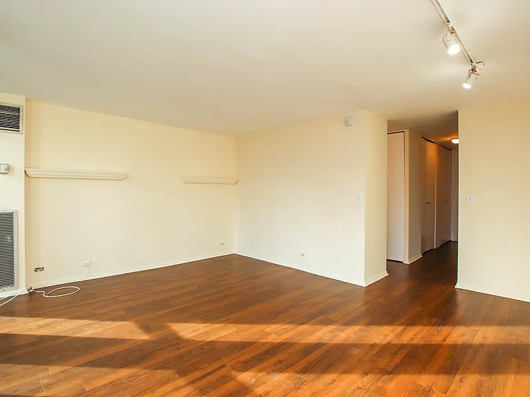 1 E Scott St #1406 — Photo 5