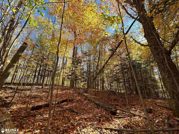 3077 Phelps Lake Rd, Mayville, MI 48744