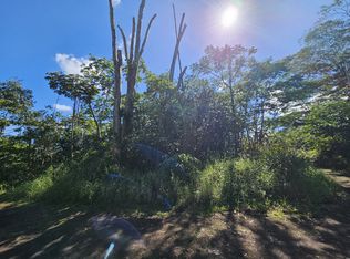 Tiki Rd LOT 17, Kurtistown, HI 96760