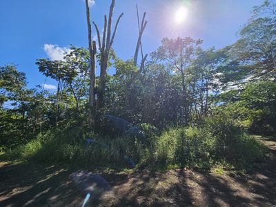 Tiki Rd Lot 17, Kurtistown, HI, 96760