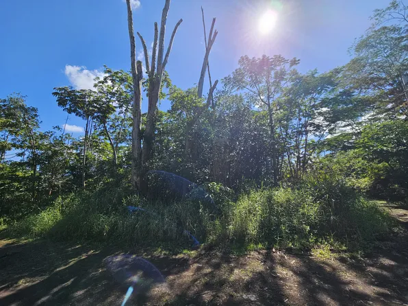 Tiki Rd Lot 17, Kurtistown, HI 96760