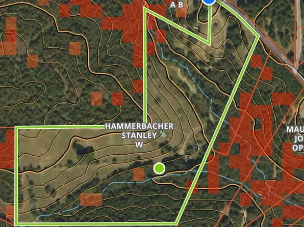 24034 County Road 244, Overton, TX 75684