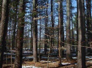 260 Alpine Meadows Rd, Porter Corners, NY 12859