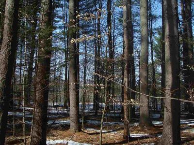 260 ALPINE MEADOWS Road, Porter Corners, NY, 12859