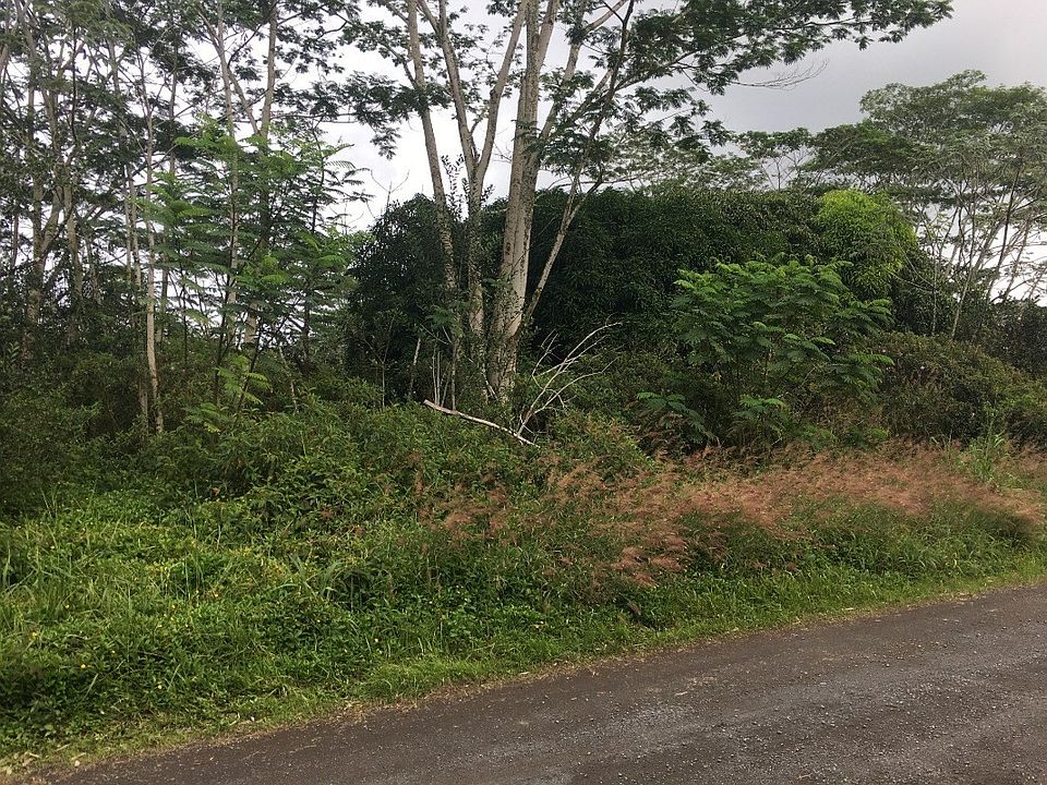 1st image of 11th Avenue Kika Lot 788