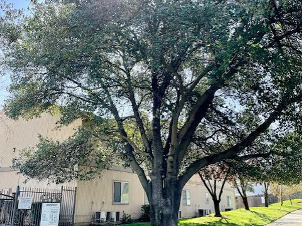 Hollister Apartment Complex