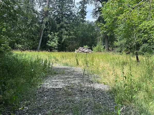 56002 E 317th Avenue E, Ashford, WA 98304