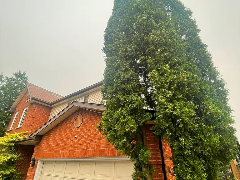 501 Thorndale Dr — Photo 1