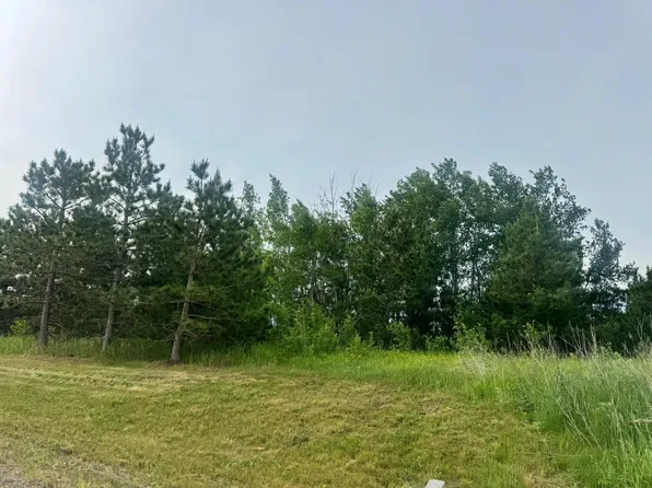 TRACT 3 County Road 13, Nevis, MN 56467