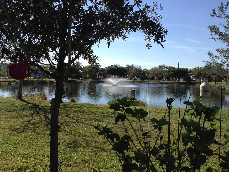 1st image of 319 Goldfish Ln