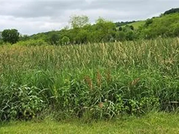 36-39 Baton Rd, Ligonier, PA 15658