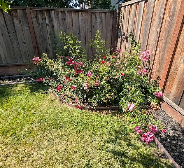 90 Plumeria Ct — Photo 38