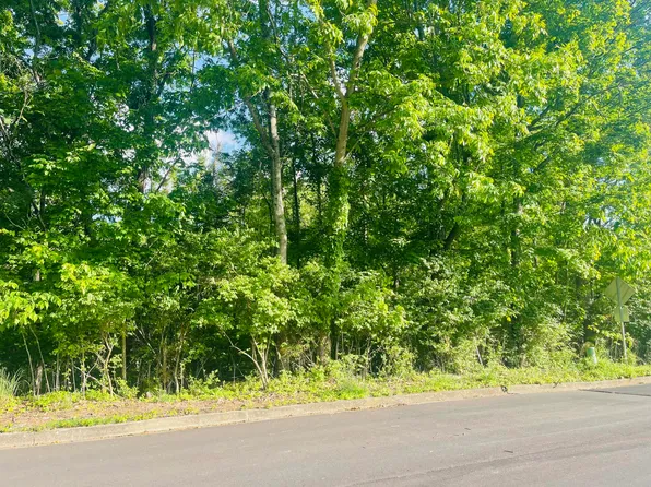 43 Summerfield Dr, Piney Flats, TN 37686