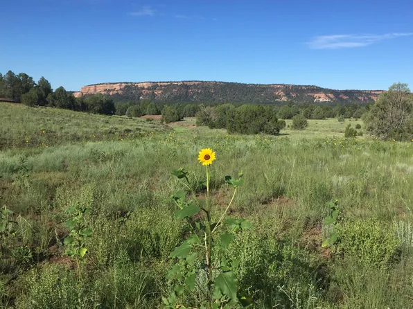 Buttonwood Dr, Ramah, NM 87321