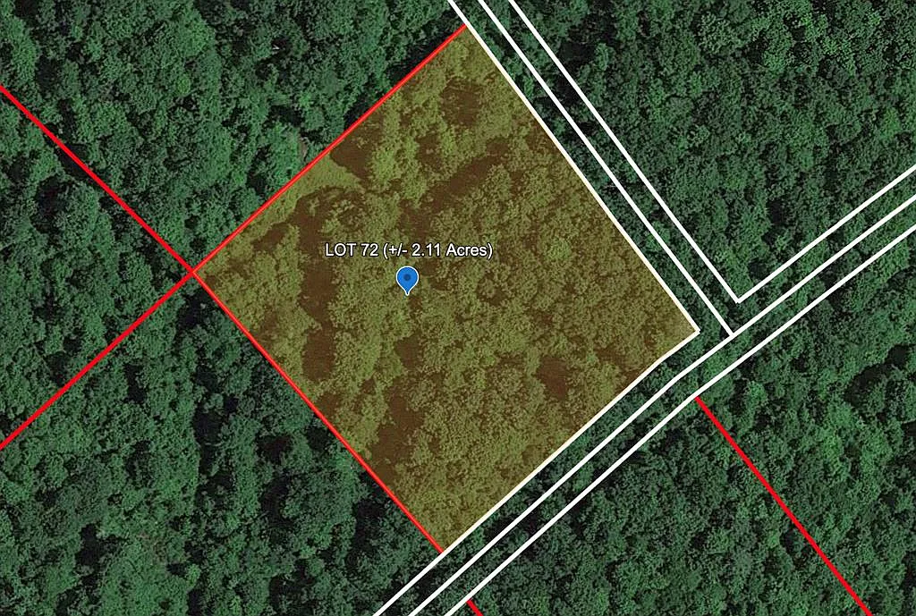 109 Honeybee Way photo 1