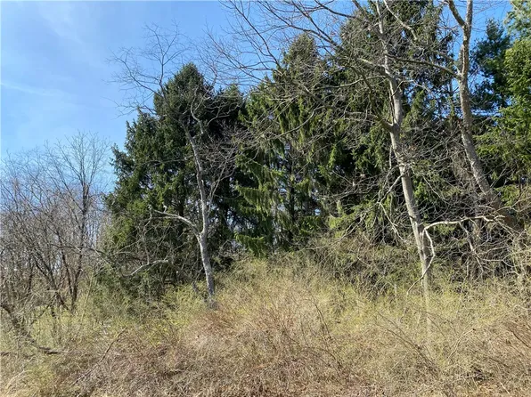 0 Saxonburg Blvd, Cheswick, PA 15024